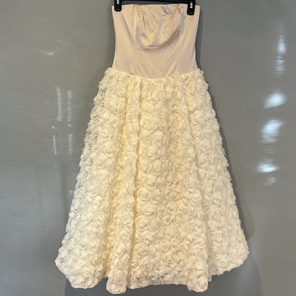 Reformation Rosy Dress-Ivory 3D floral skirt NWT - Picture 4 of 17